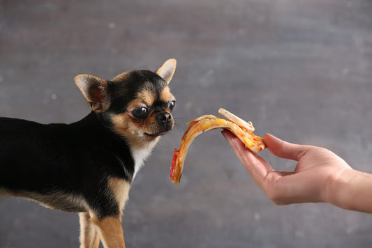 Can I Feed My Dog People Food? A Quick Guide for Pet Owners