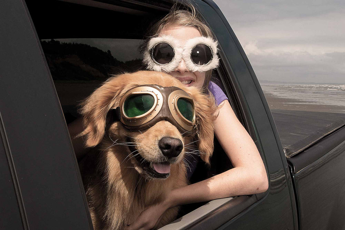 Traveling with your Pet: 5 Tips for Success