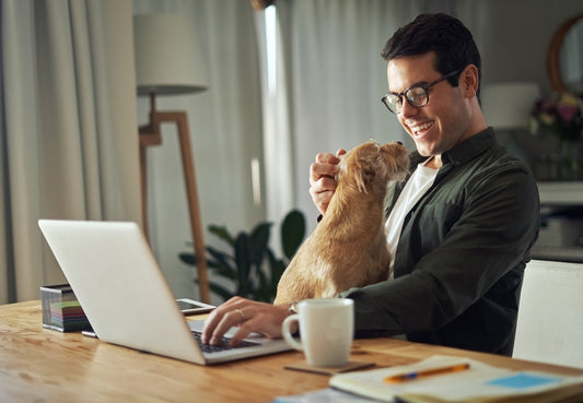 The Pros & Cons of Having Pets When Working from Home