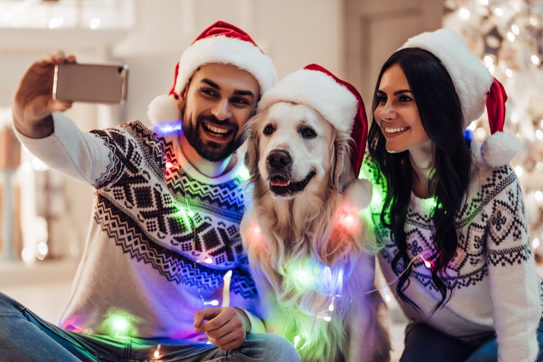 10 Holiday Gifts For Your Dog-Obsessed Friend: The Best of 2023