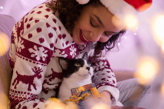 8 Holiday Gifts for All You Cat Lovers: The Best of 2020